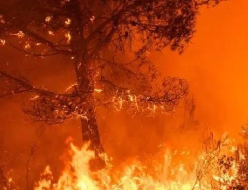 Eviter les feux de forêt