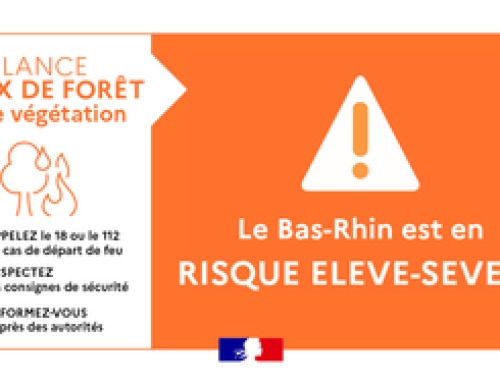 Vigilance feux de forêt et de végétations
