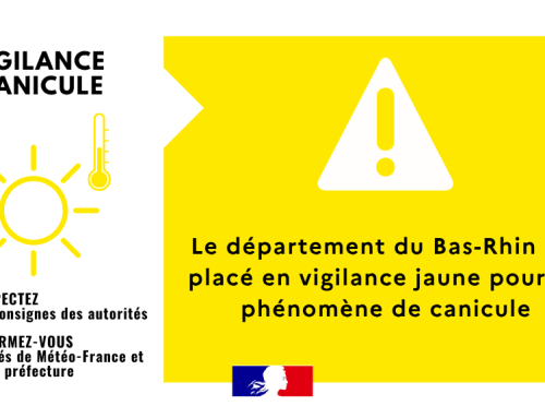 Vigilance jaune canicule