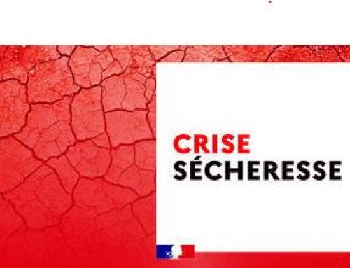 Alerte crise sécheresse